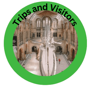 Trips & Visits