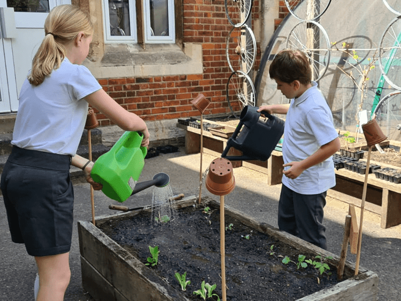 St Marks Gardening
